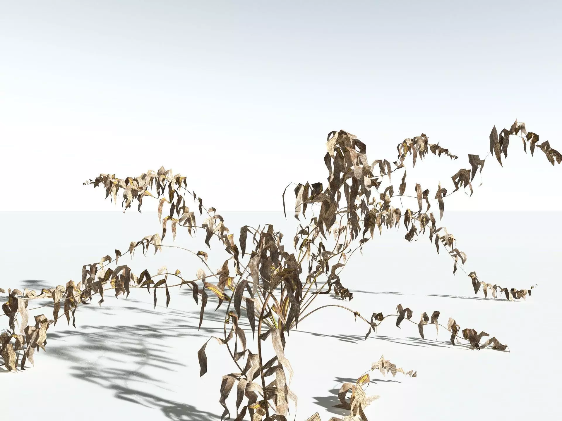 EVERYPlant Basket Fern LowPoly Low-poly 3D model_19