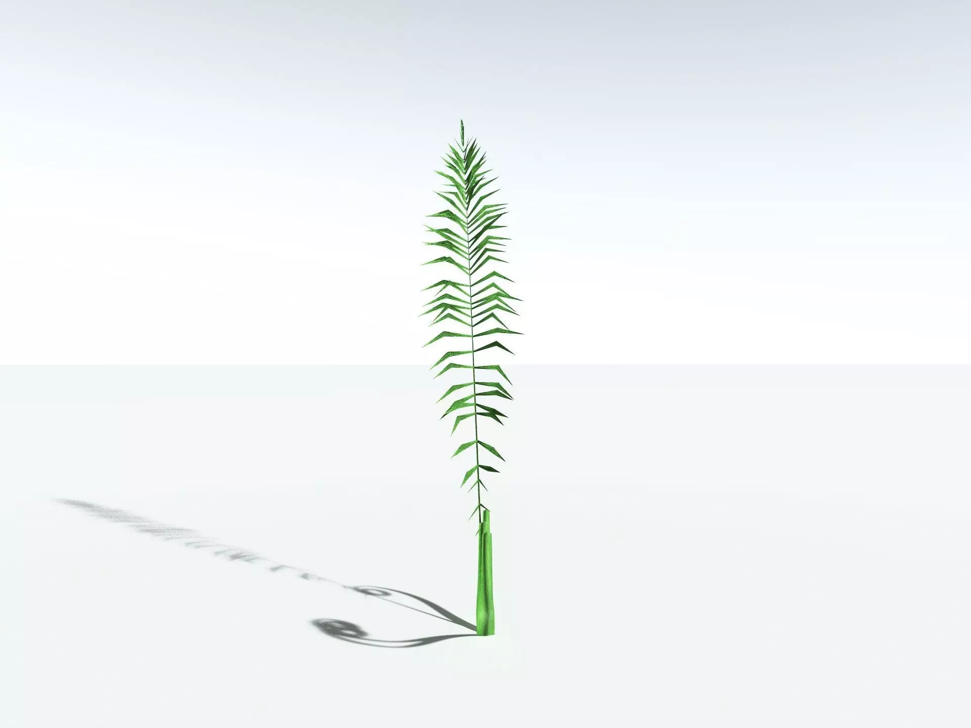 EVERYPlant Basket Fern LowPoly Low-poly 3D model_29