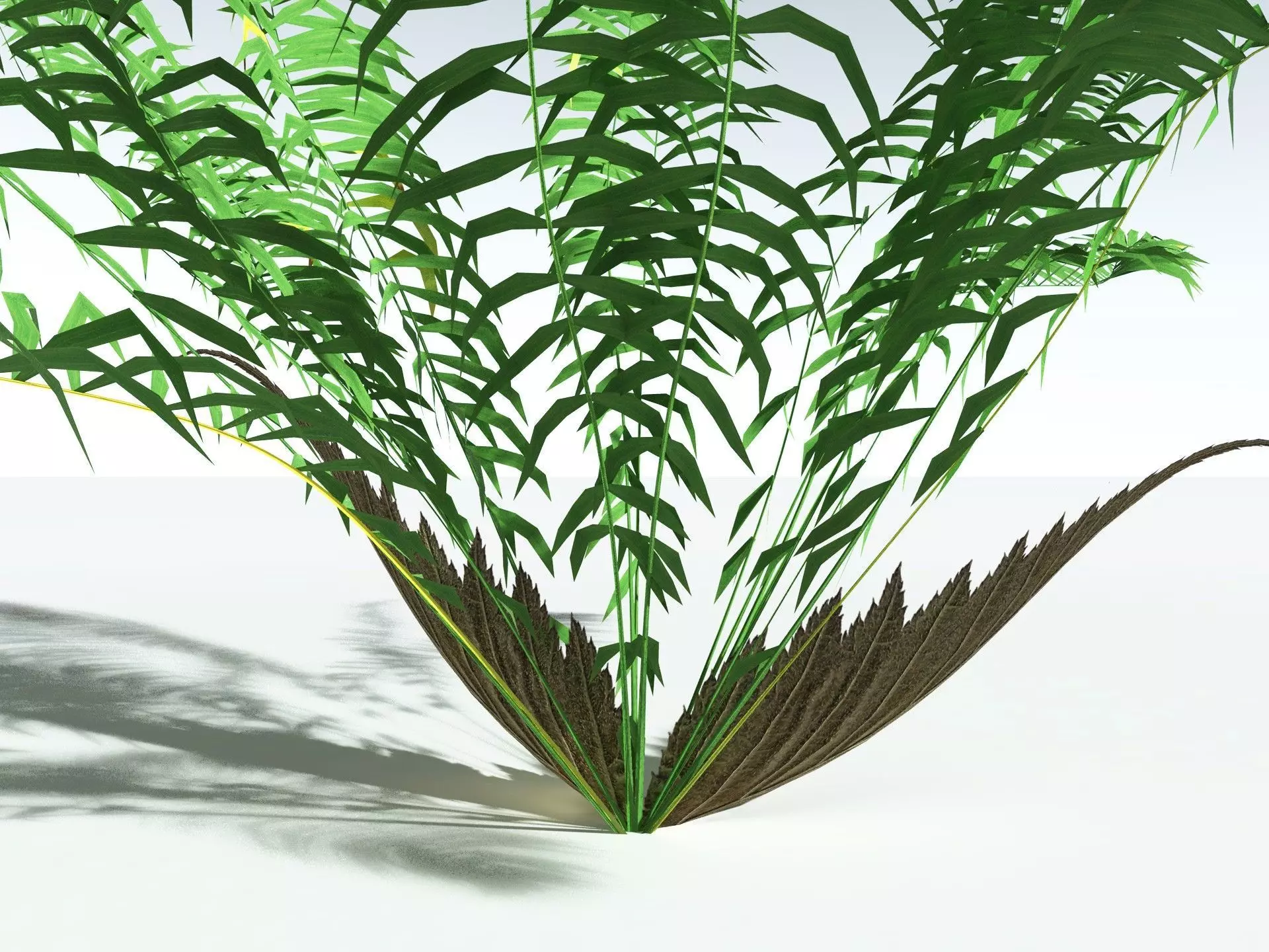 EVERYPlant Basket Fern LowPoly Low-poly 3D model_25