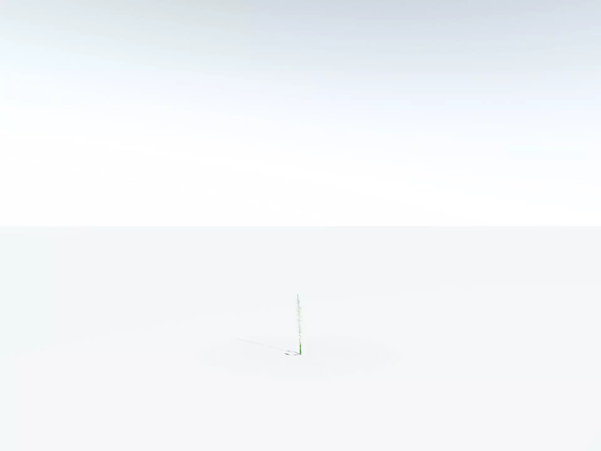 EVERYPlant Basket Fern LowPoly Low-poly 3D model_28