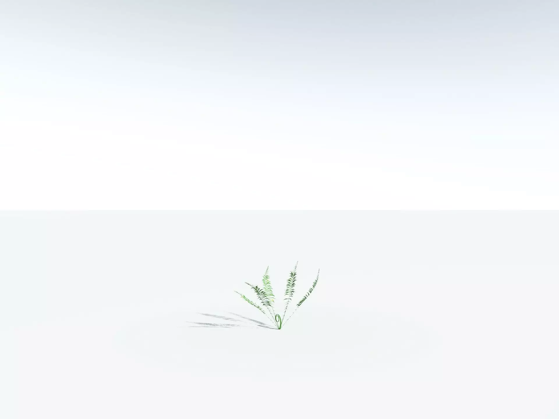 EVERYPlant Basket Fern LowPoly Low-poly 3D model_26