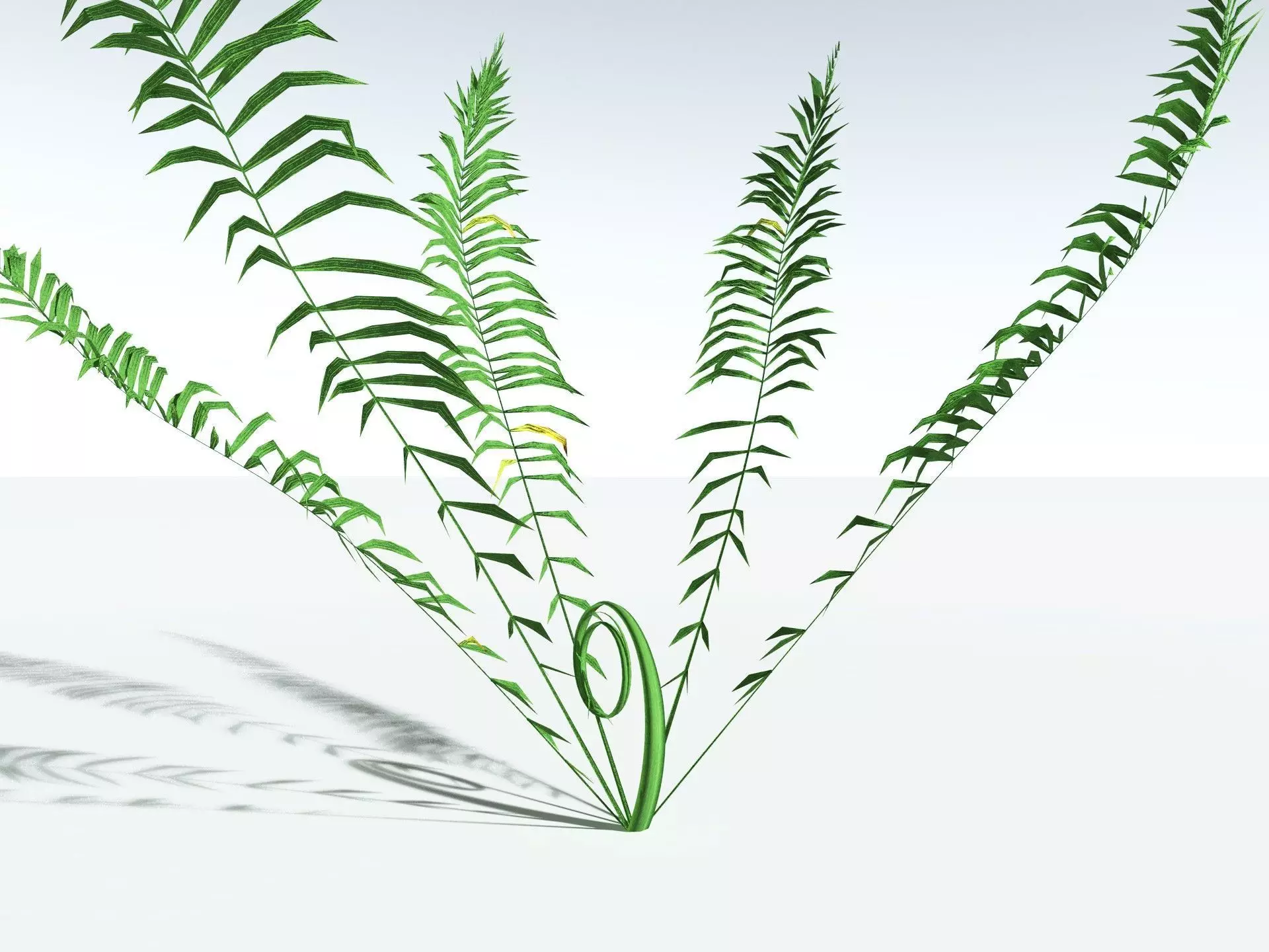 EVERYPlant Basket Fern LowPoly Low-poly 3D model_27