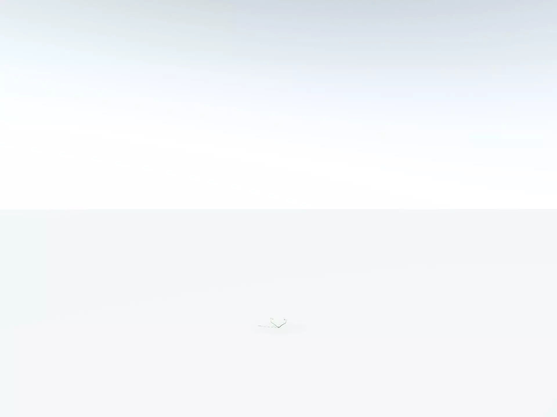 EVERYPlant Basket Fern LowPoly Low-poly 3D model_30