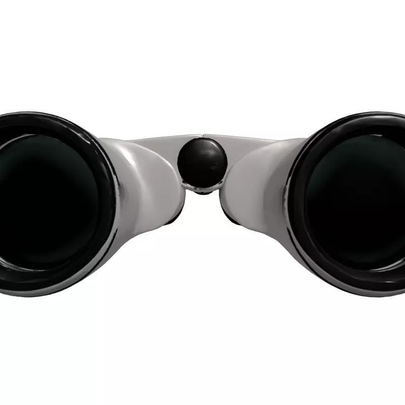 Modern Binoculars 3D Model Low-poly 3D model_4
