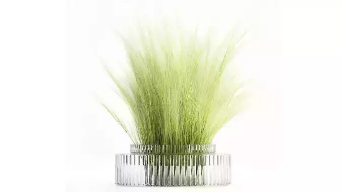 Beautiful green bouquet wildflowers feather grass glass vase 643