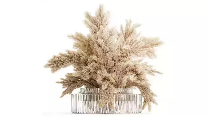 Dried flower bouquet cortaderia pampas branches glass vase 643
