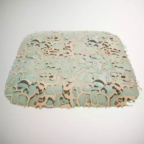 Organic Fiber Network HQ PBR Textures Set