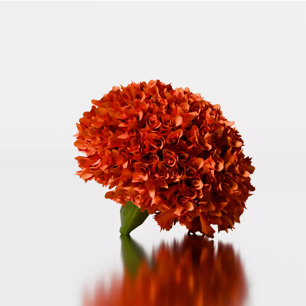 puja props and sweets thali setup Low-poly 3D model_36