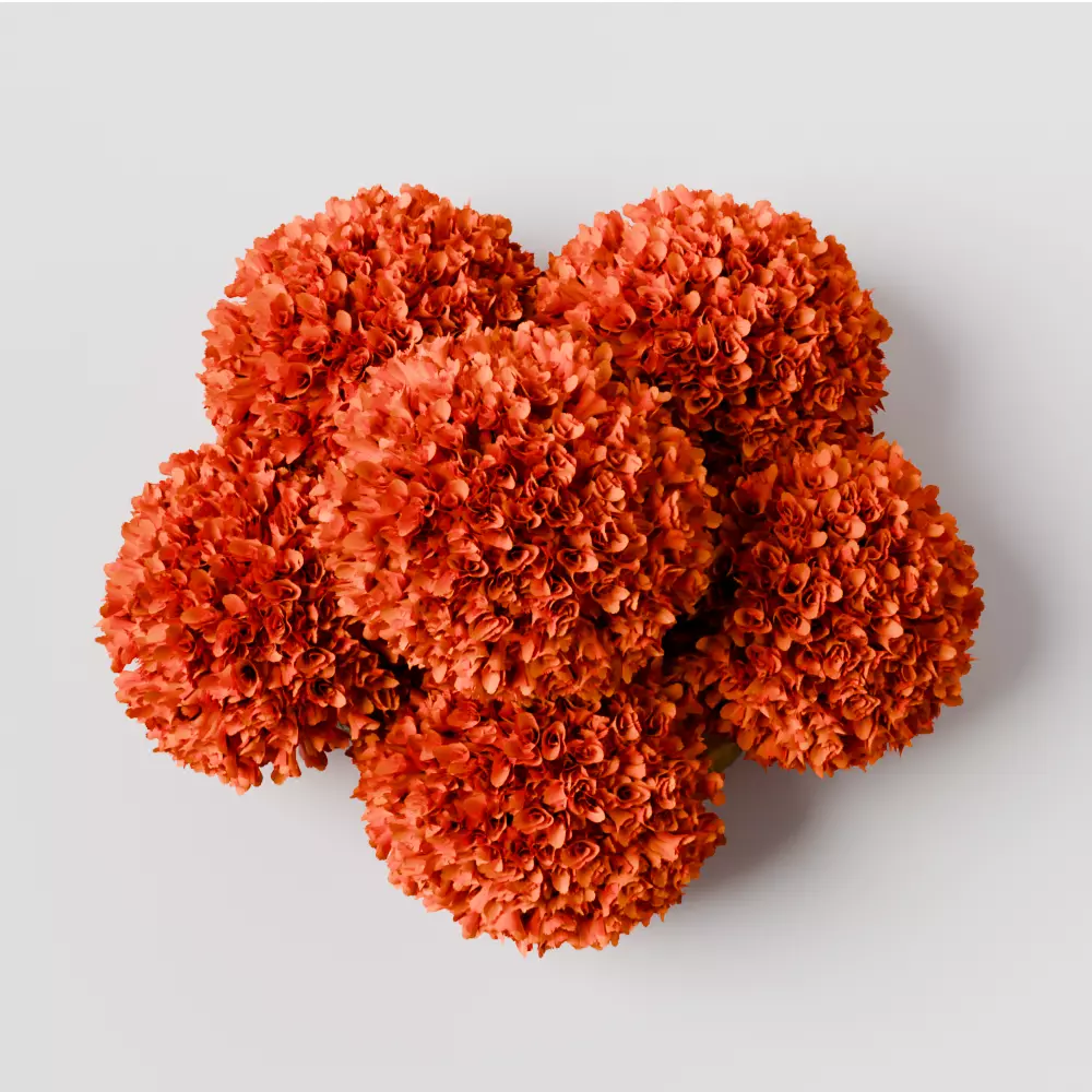 puja props and sweets thali setup Low-poly 3D model_32