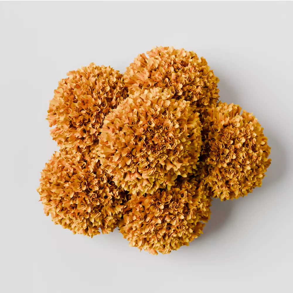 puja props and sweets thali setup Low-poly 3D model_31