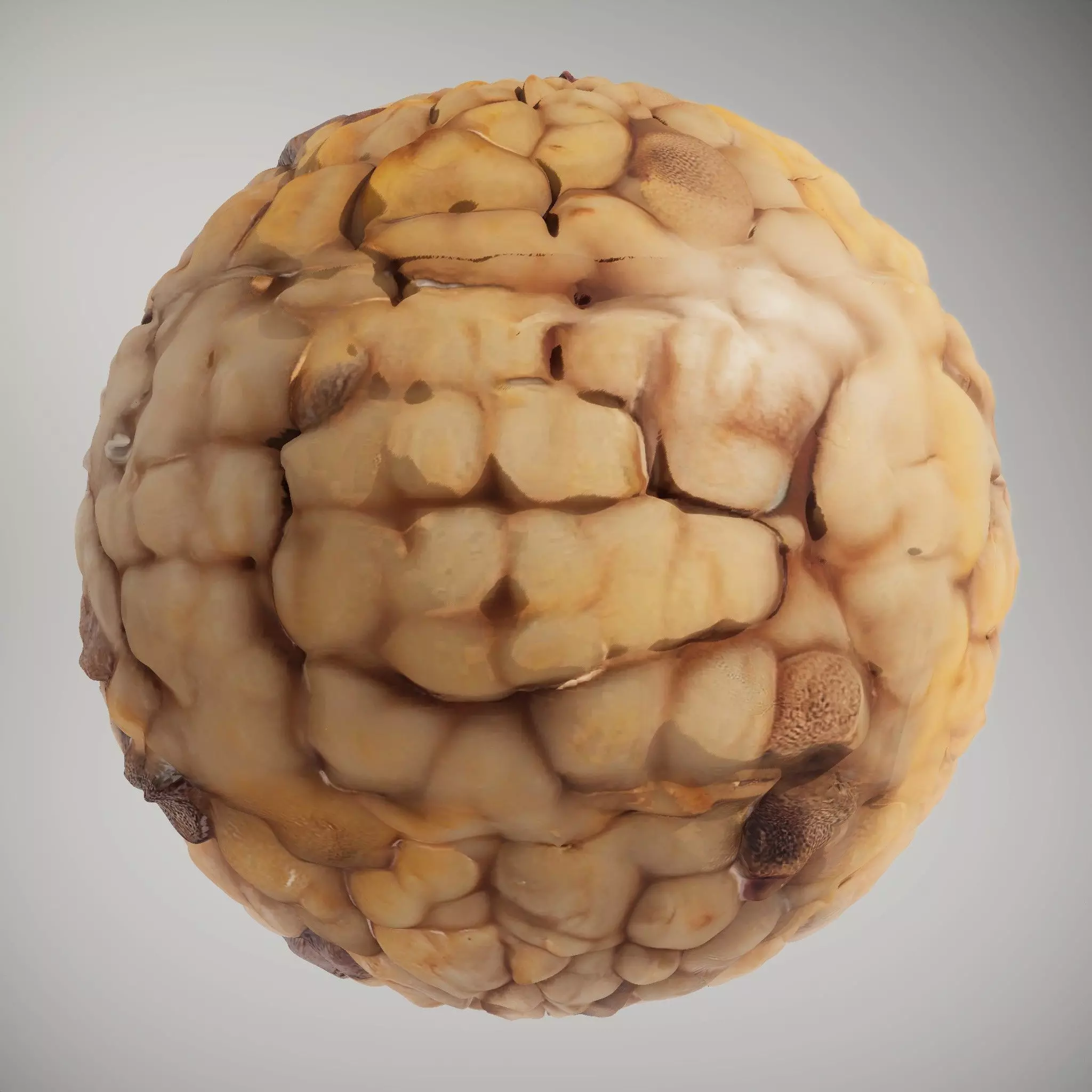 HQ PBR Textures Set  Nut Shell Bumpy Texture_2
