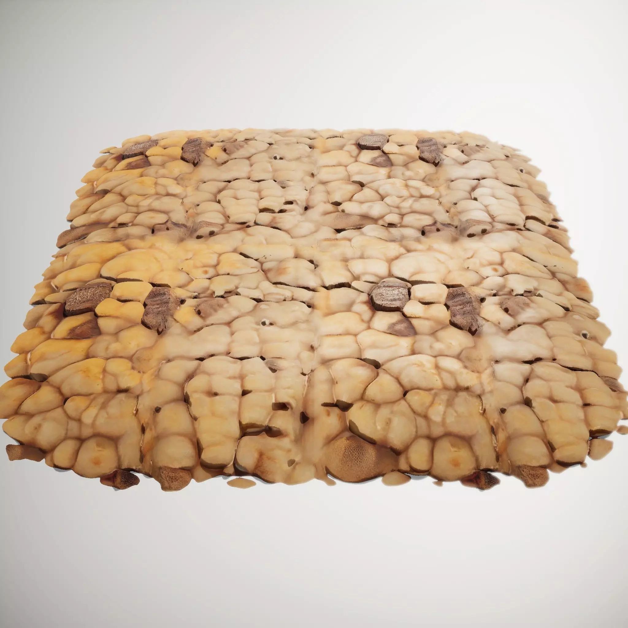 HQ PBR Textures Set  Nut Shell Bumpy Texture_3