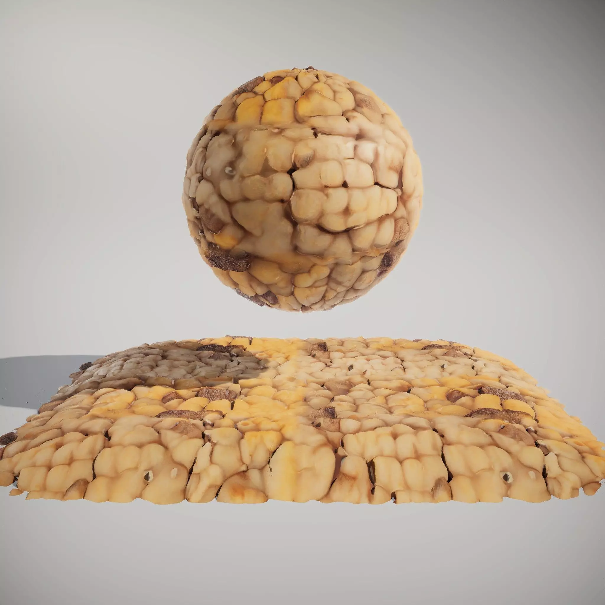 HQ PBR Textures Set  Nut Shell Bumpy Texture_0
