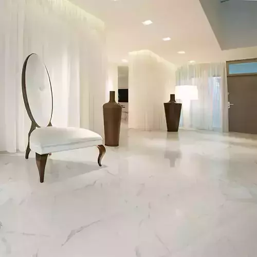 White Marble Book Match Arrow Veins 