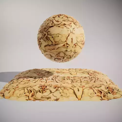 Organic Worm Texture HQ PBR Textures Set