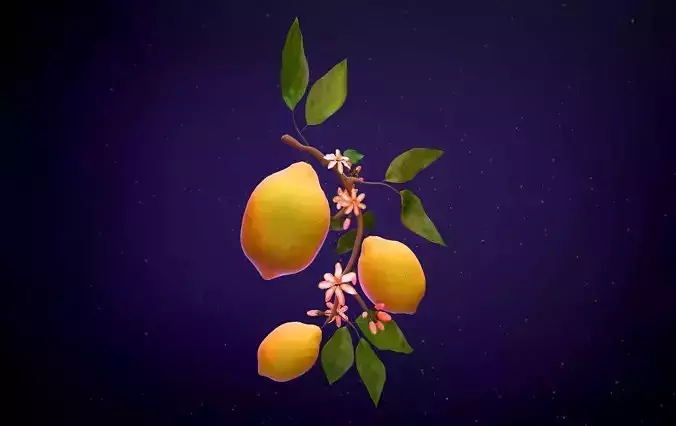 Stylized Lemon 3D Model - Hand Painted Texture