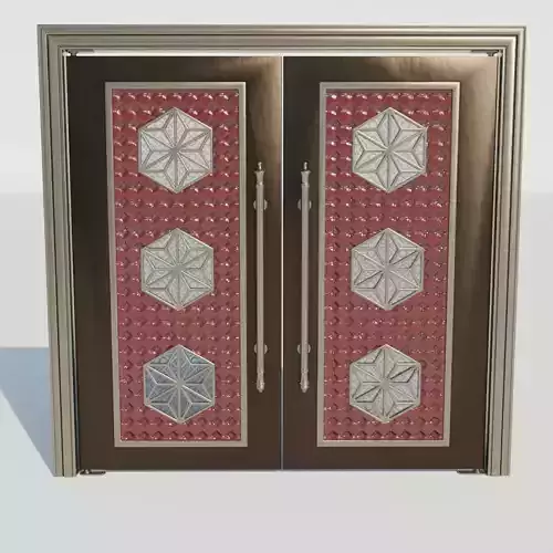 Luxurious double front doors