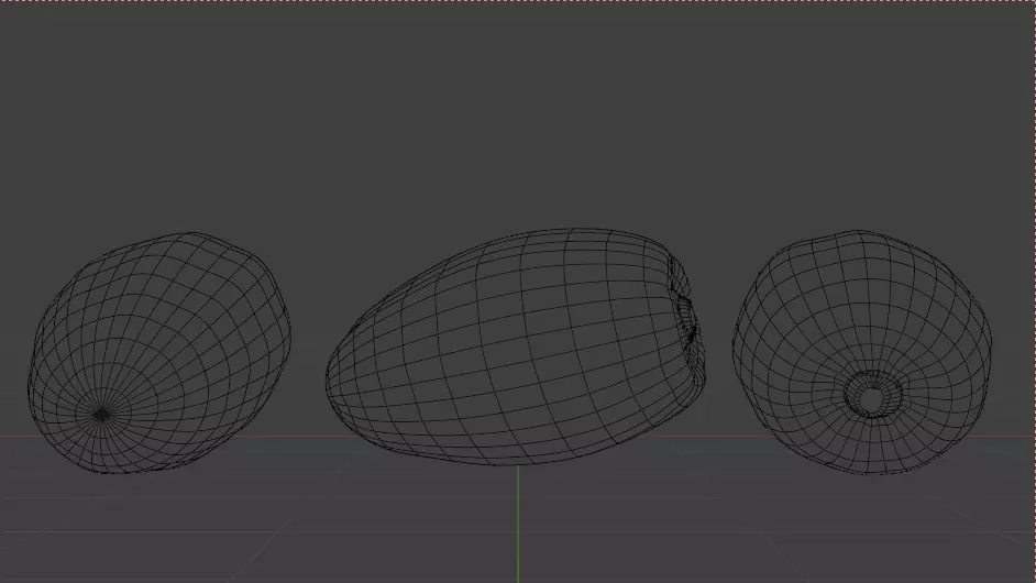 3D Date Fruit Model 3D model_4