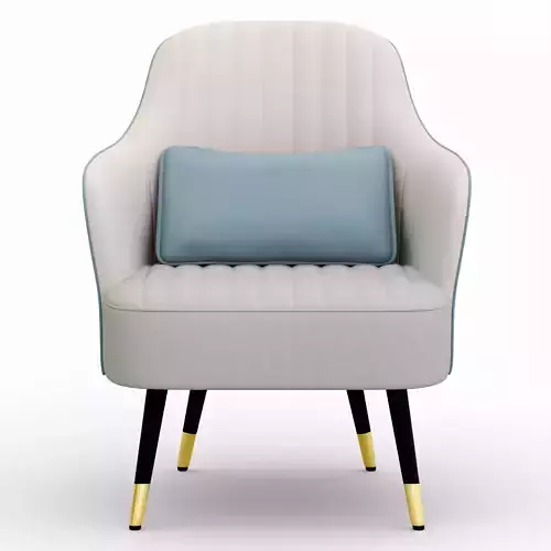 Luxury Armchair with Cushion
