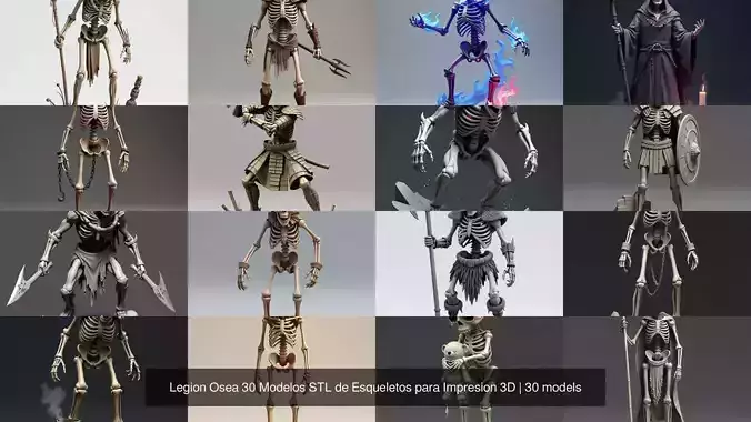 Legion Osea 30 Modelos STL de Esqueletos para Impresion 3D