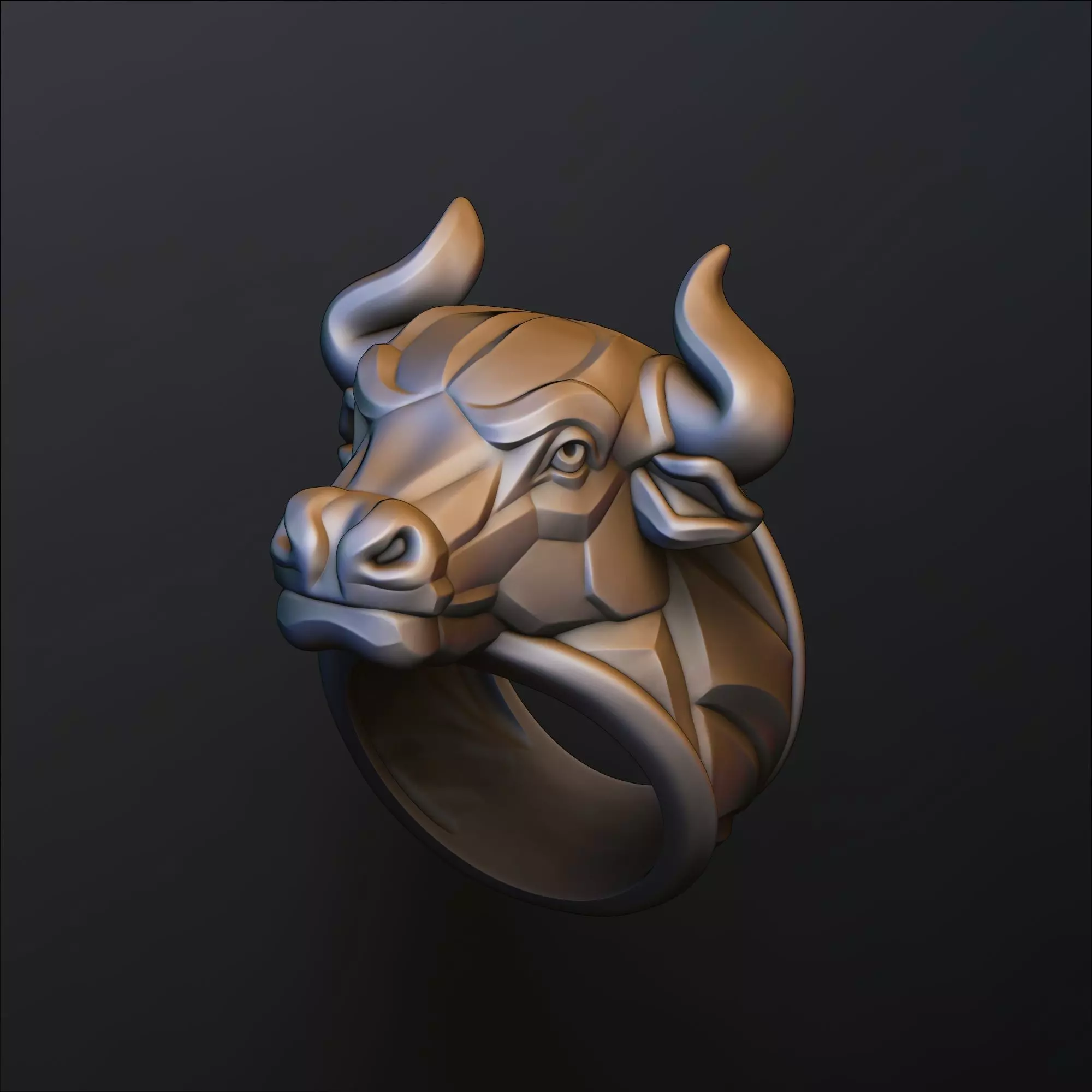 Bull Ring v2 3D print model_0