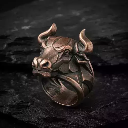 Bull Ring v2