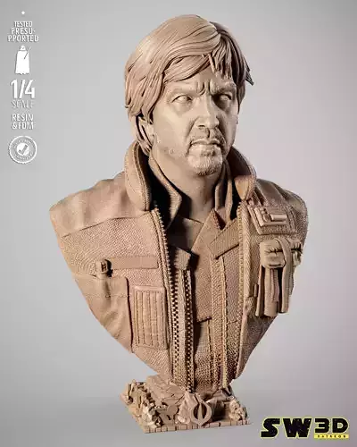 STAR WARS CassIan Andor Portrait Bust 3D
