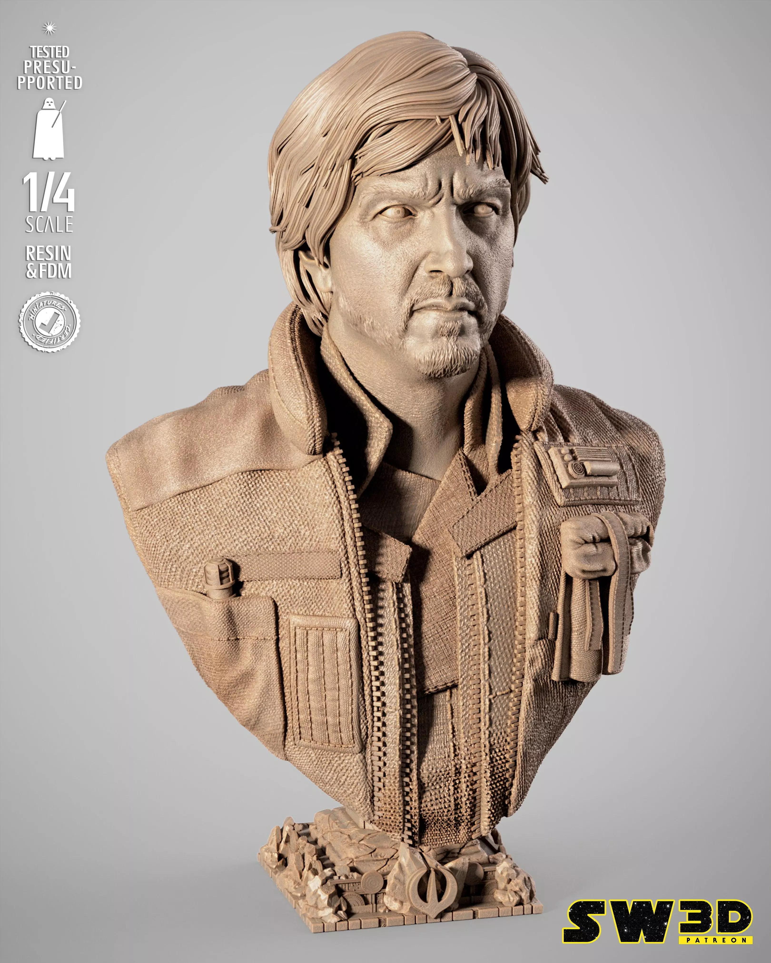 STAR WARS CassIan Andor Portrait Bust 3D 3D print model