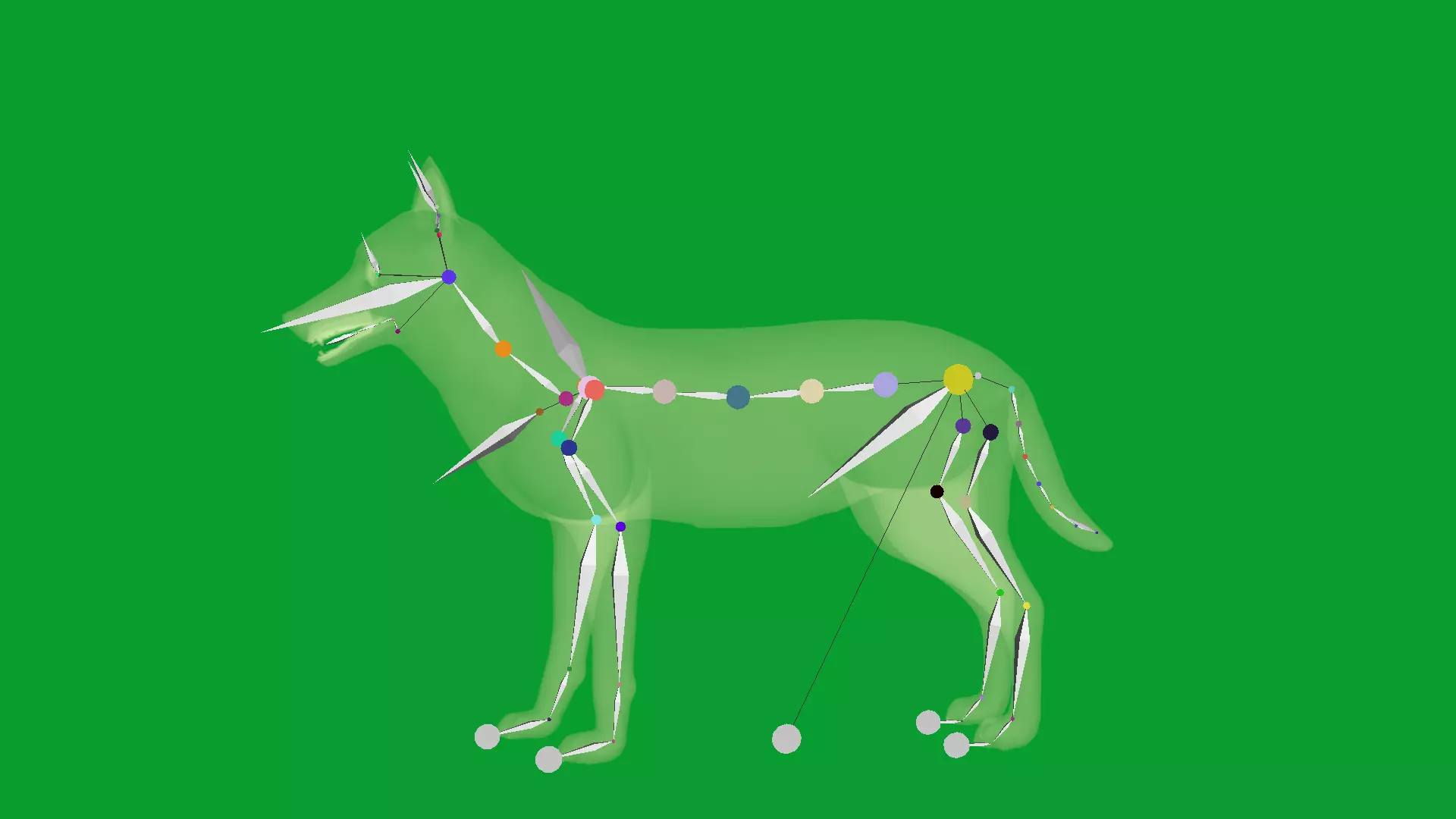 European Female Jackal Low-poly 3D model_33