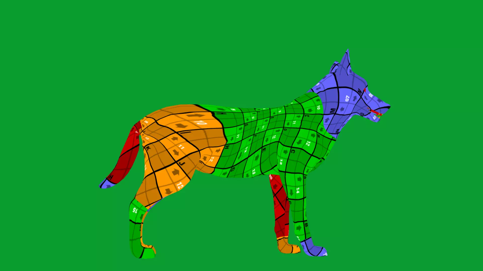 European Female Jackal Low-poly 3D model_28