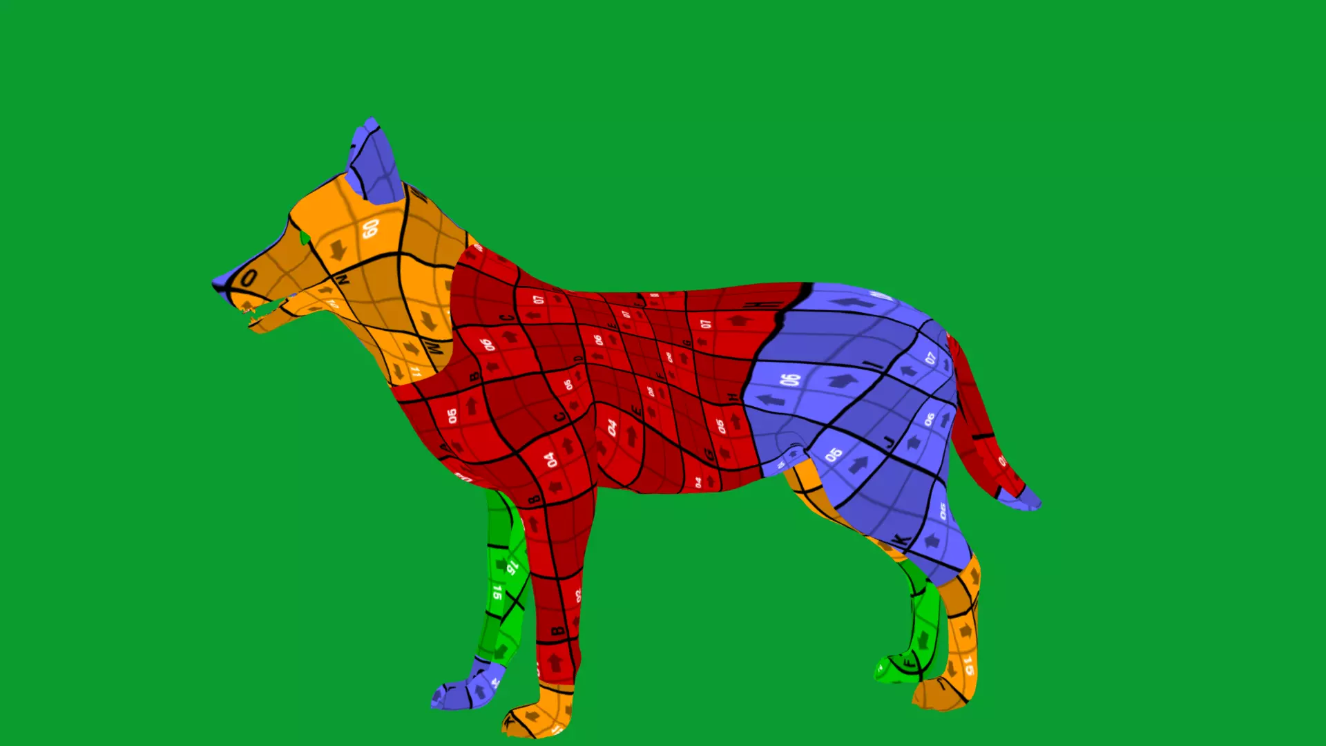 European Female Jackal Low-poly 3D model_12