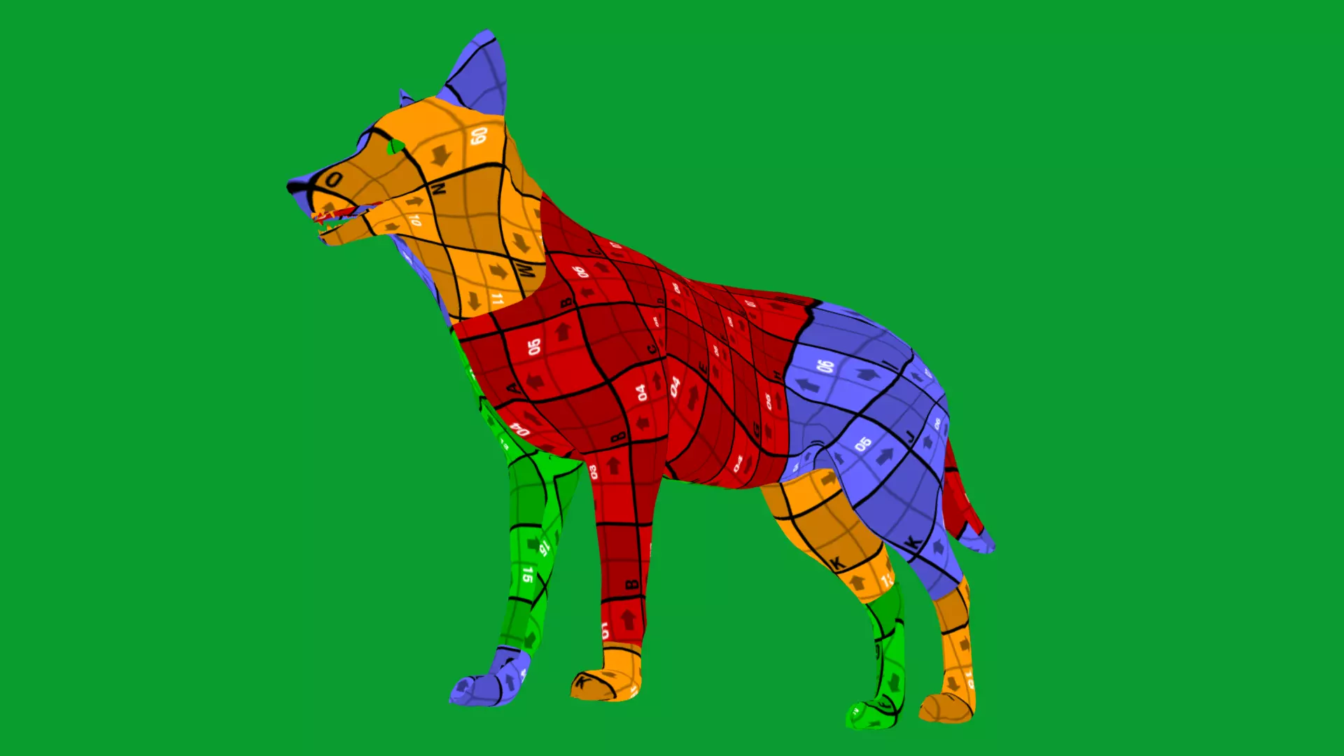 European Female Jackal Low-poly 3D model_29