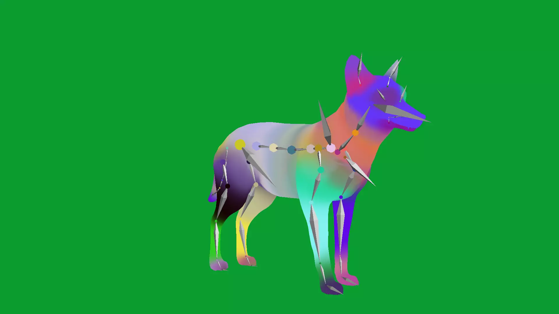 European Female Jackal Low-poly 3D model_21