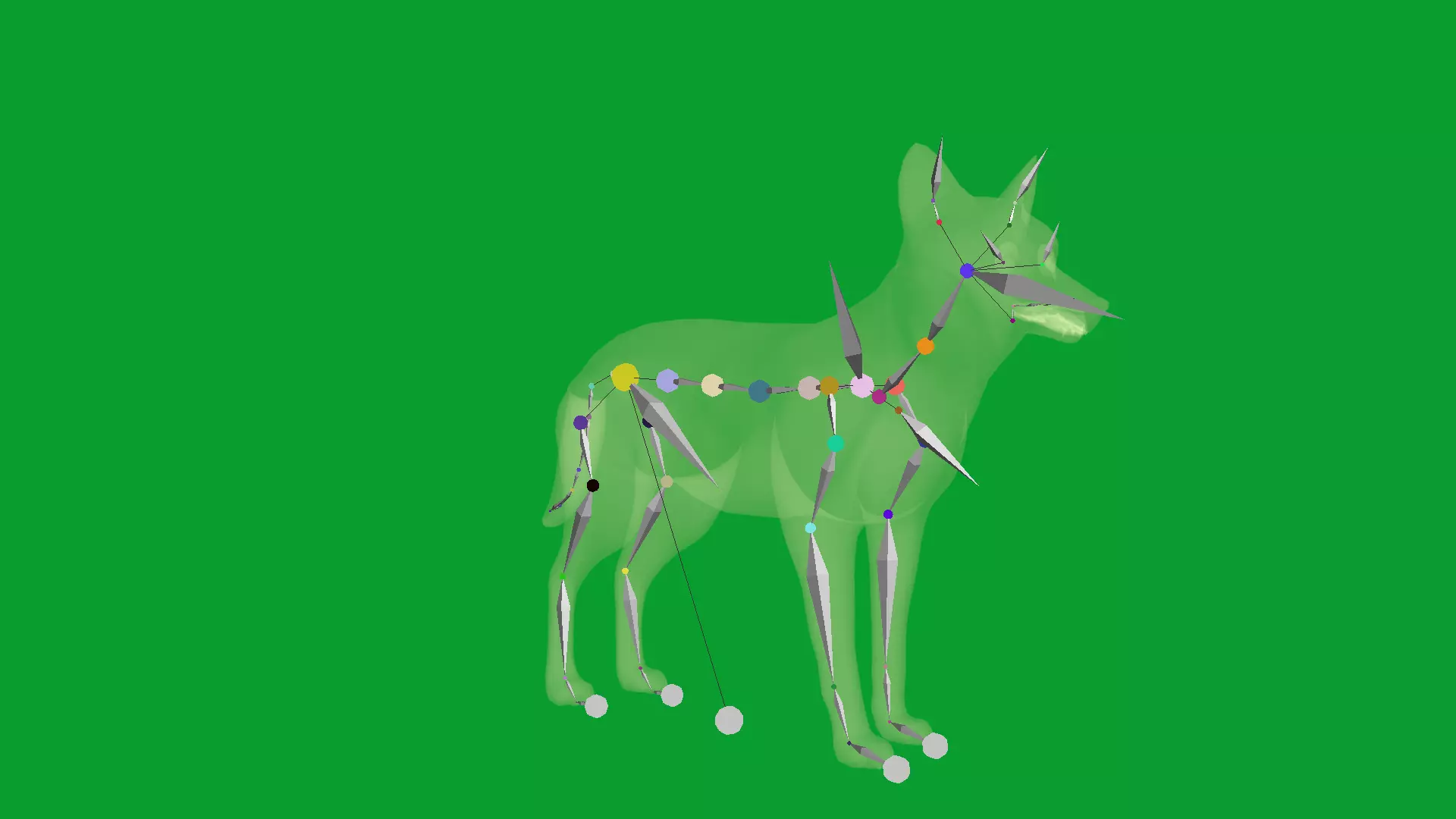 European Female Jackal Low-poly 3D model_27