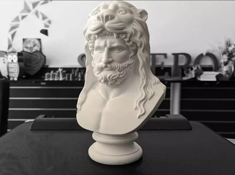 Heracles Bust 3D print model_8