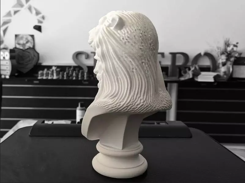 Heracles Bust 3D print model_11