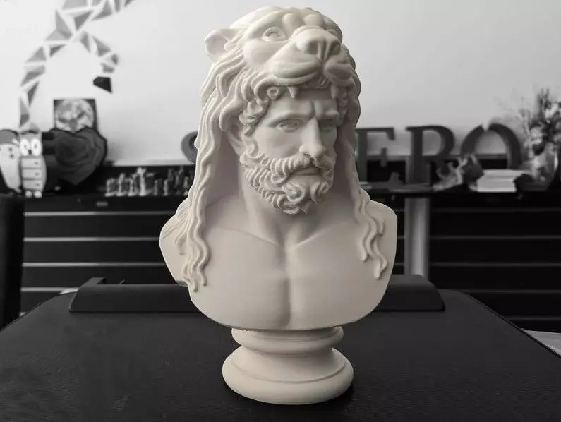 Heracles Bust 3D print model_9