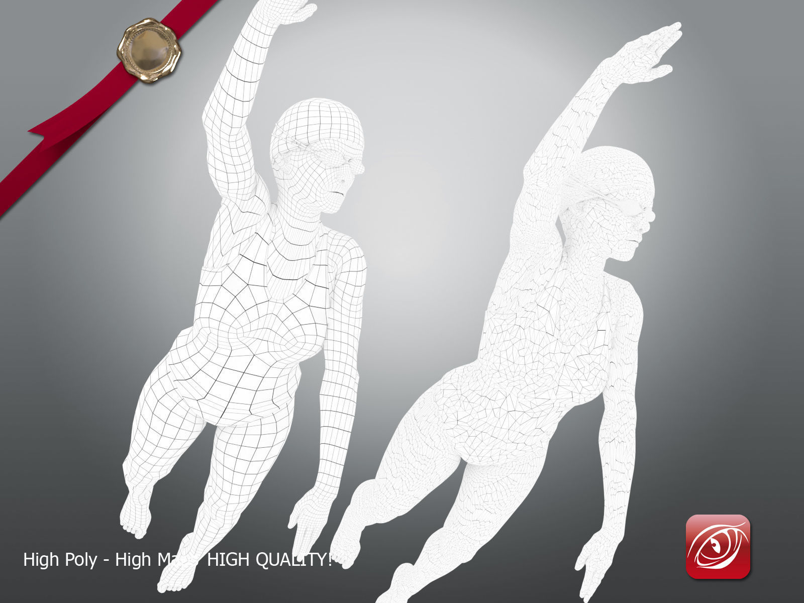 SwimmingpoolgirlCCrawl four female swimmers swimsuits 3D model_3