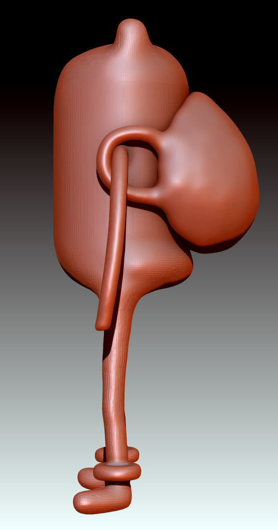 Finn from Adventure Time Free 3D model_6