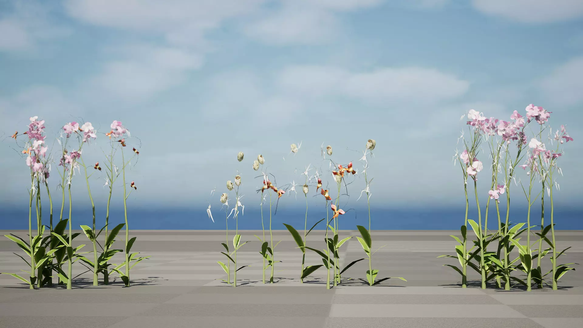 Ghost Orchid 3D Model Low-poly 3D model_8