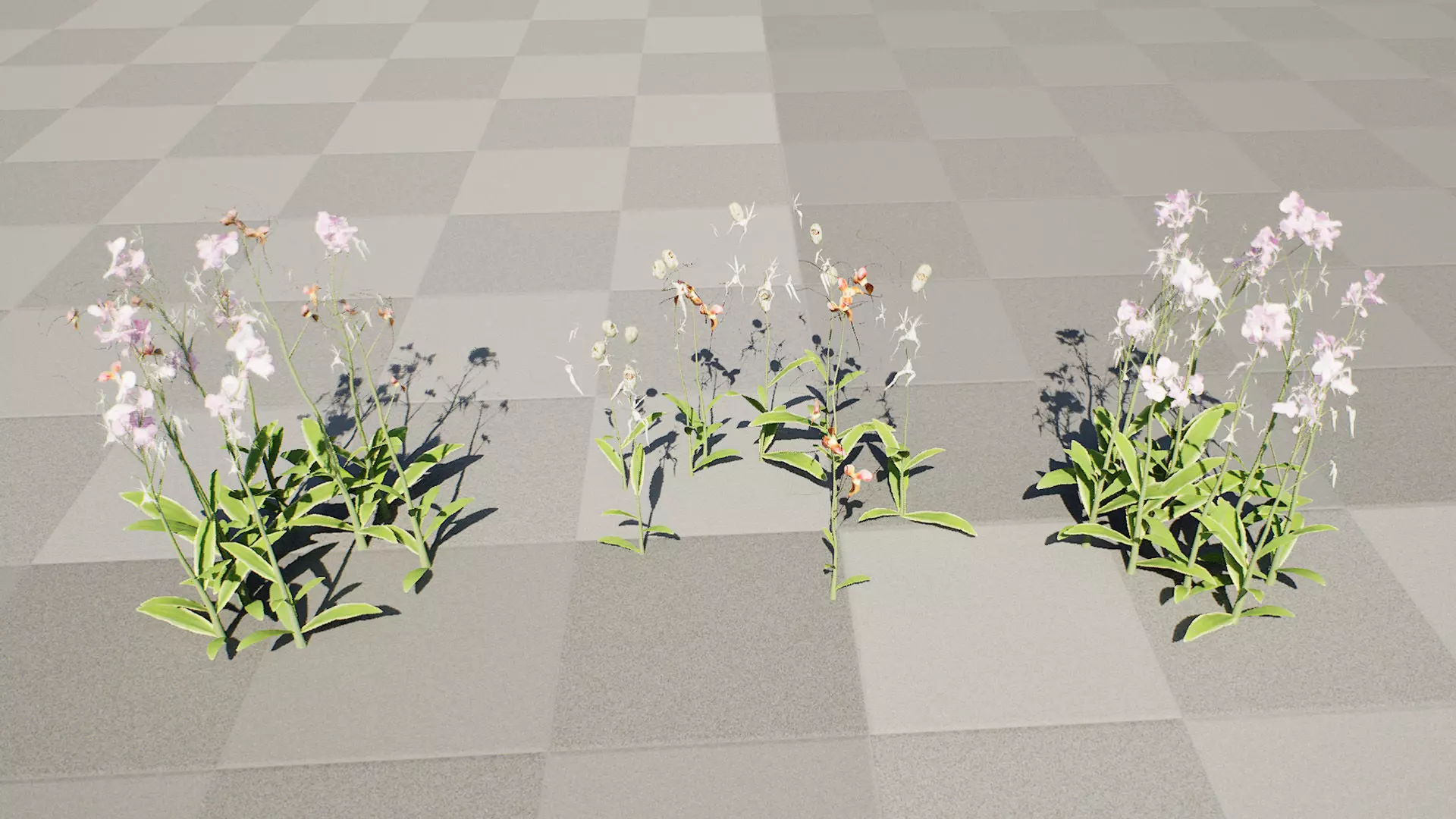 Ghost Orchid 3D Model Low-poly 3D model_9