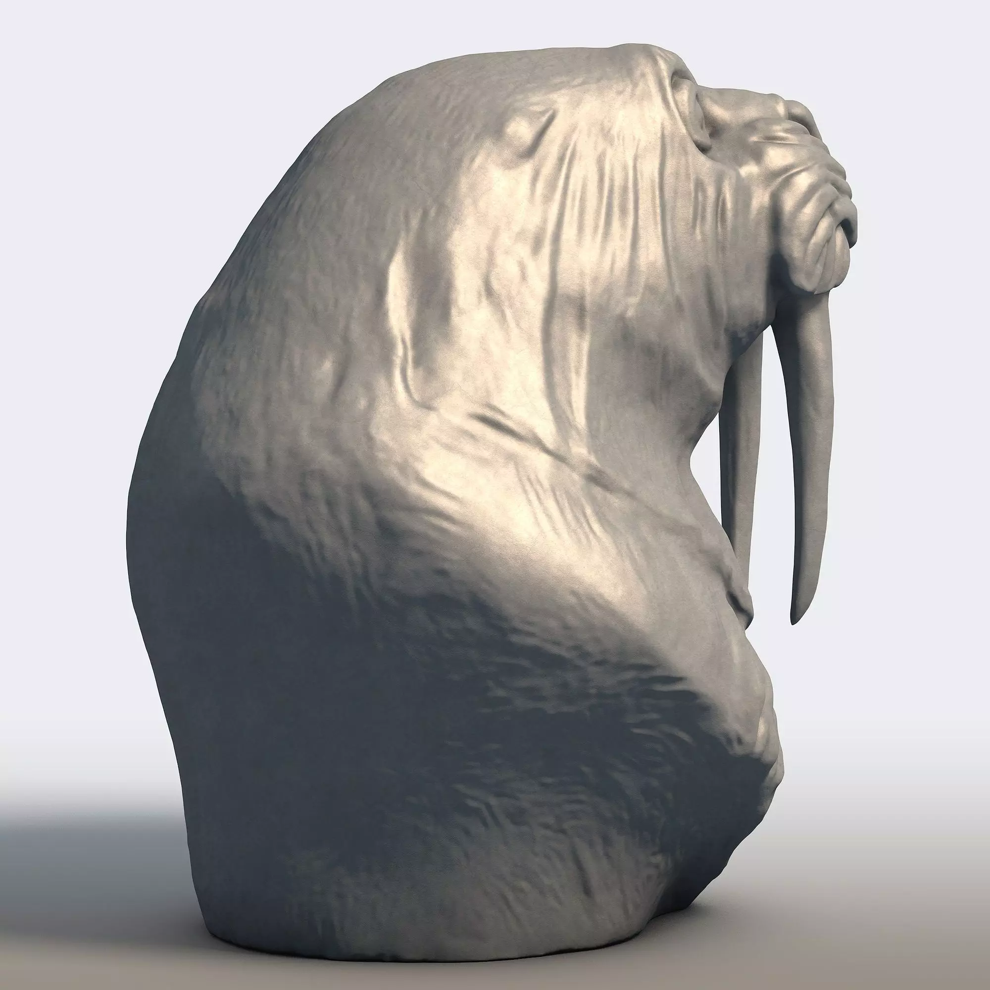Walrus Sculpture Tusked Marine Mammal Statue 3D print model_5