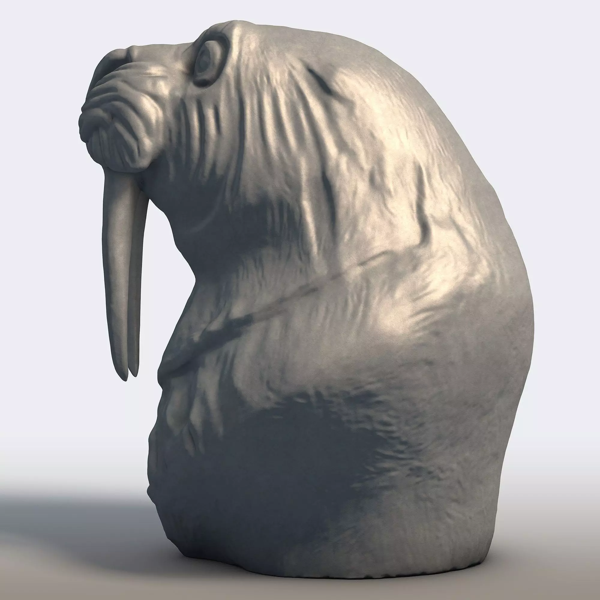 Walrus Sculpture Tusked Marine Mammal Statue 3D print model_2