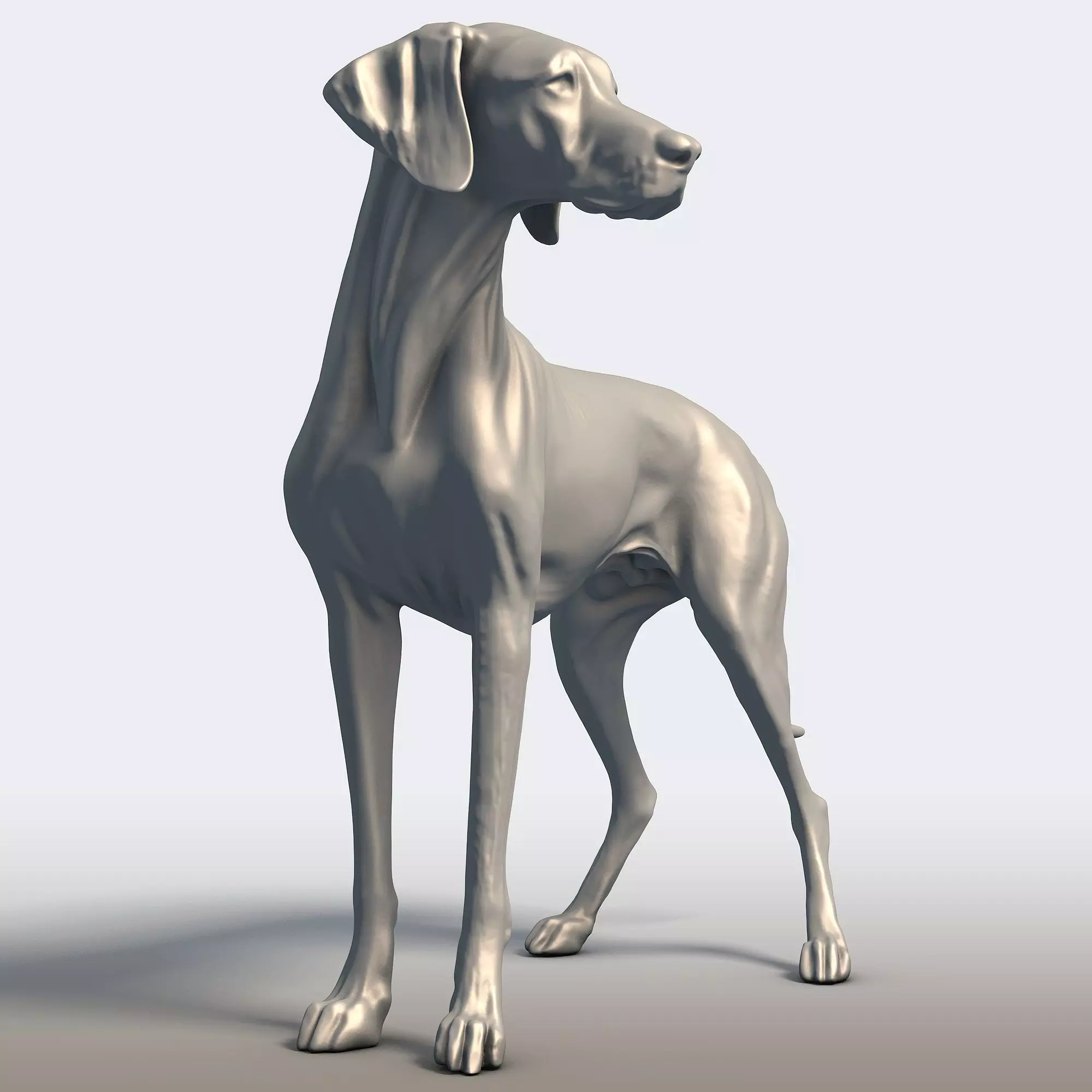 Vizsla Dog Statue Hungarian Pointer Breed Model  3D print model_1