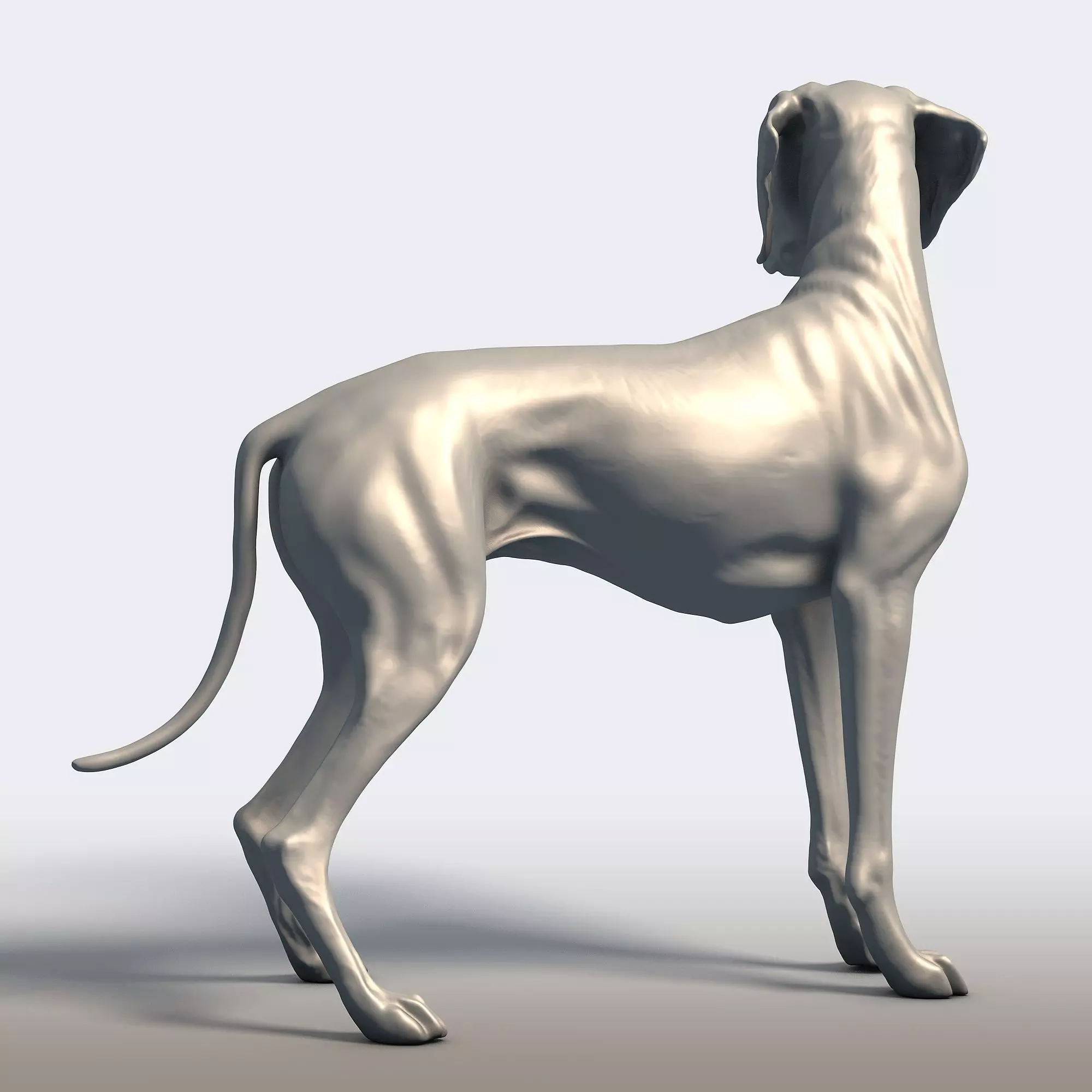 Vizsla Dog Statue Hungarian Pointer Breed Model  3D print model_4