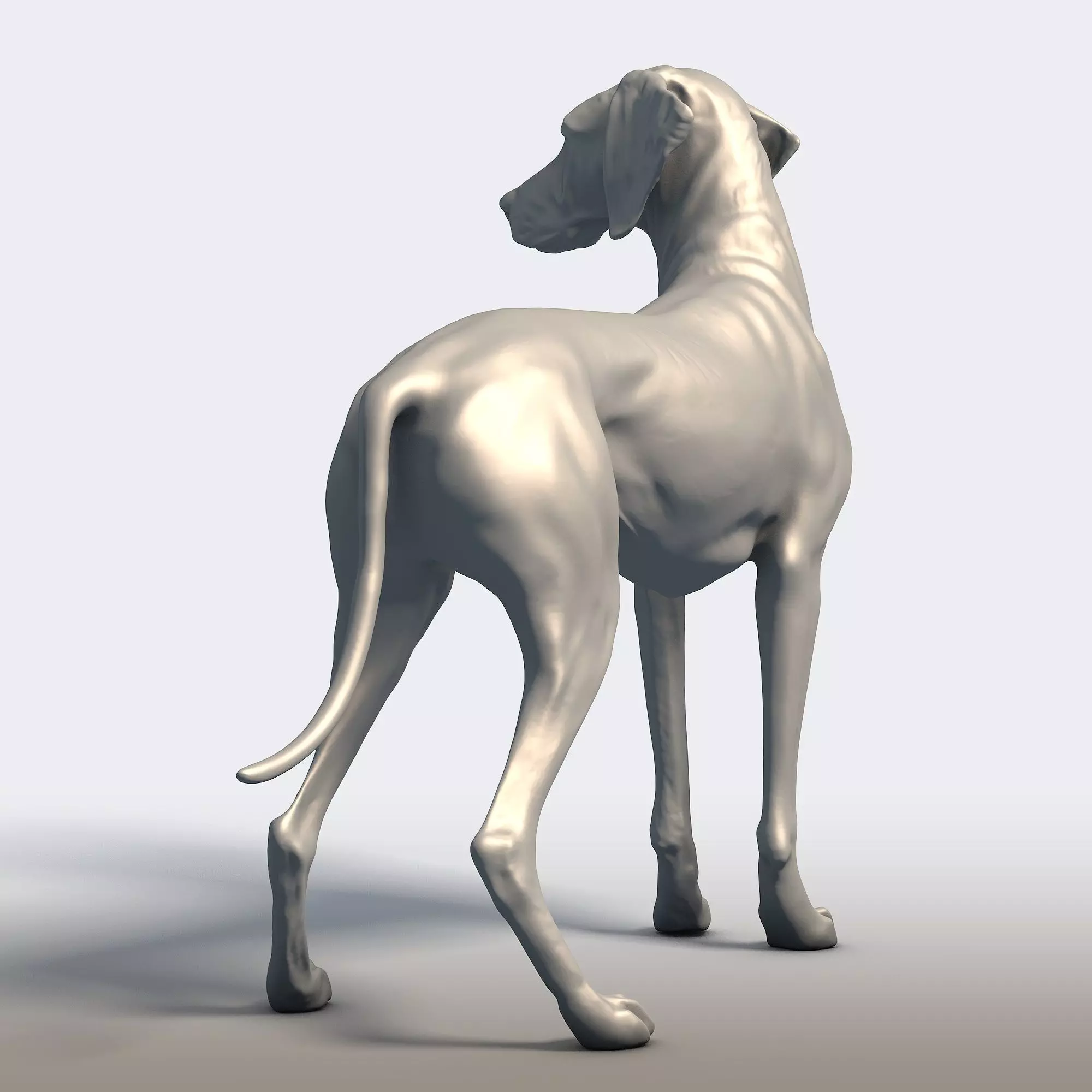 Vizsla Dog Statue Hungarian Pointer Breed Model  3D print model_5