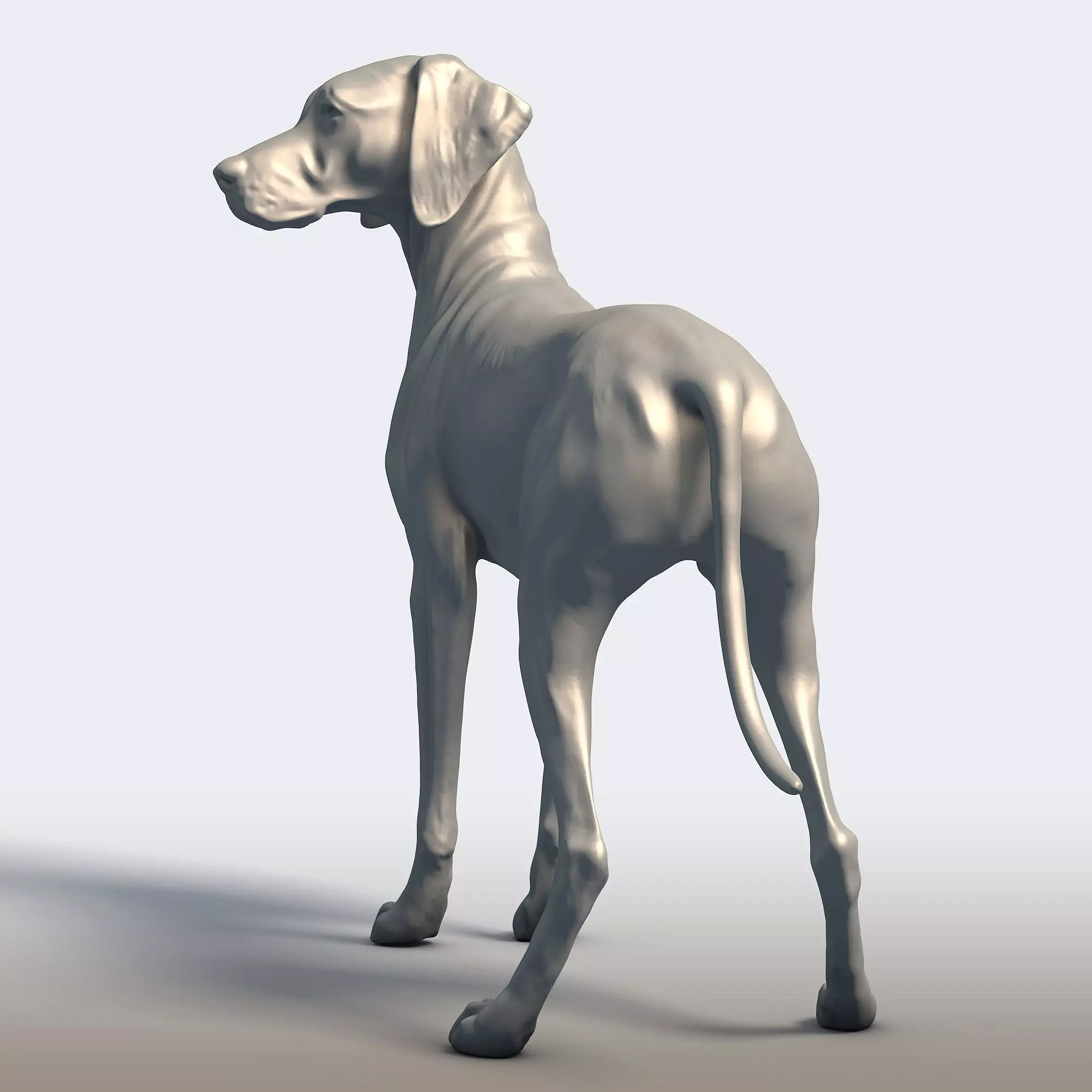 Vizsla Dog Statue Hungarian Pointer Breed Model  3D print model_6