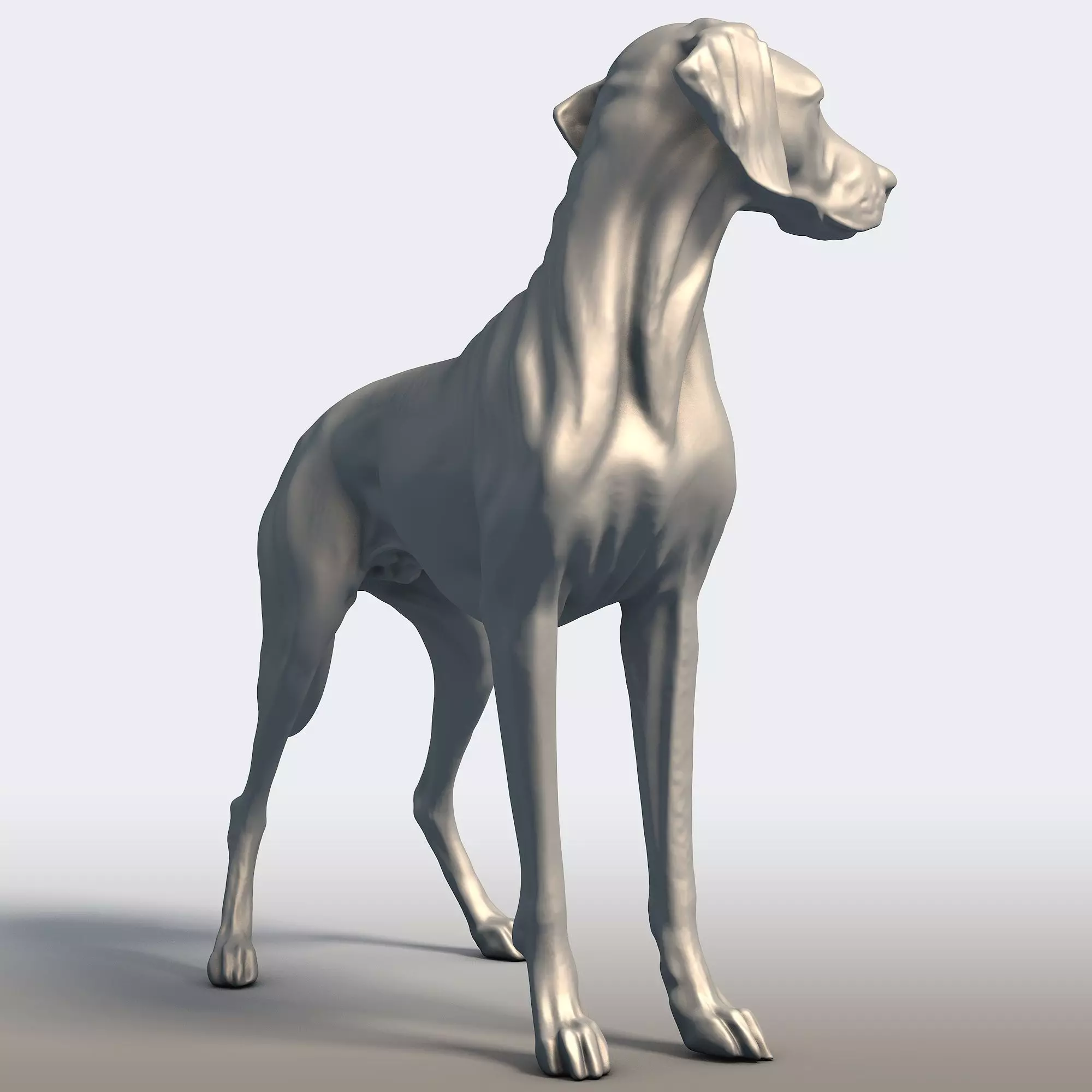 Vizsla Dog Statue Hungarian Pointer Breed Model  3D print model_2