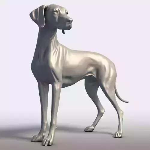 Vizsla Dog Statue Hungarian Pointer Breed Model  3D print model