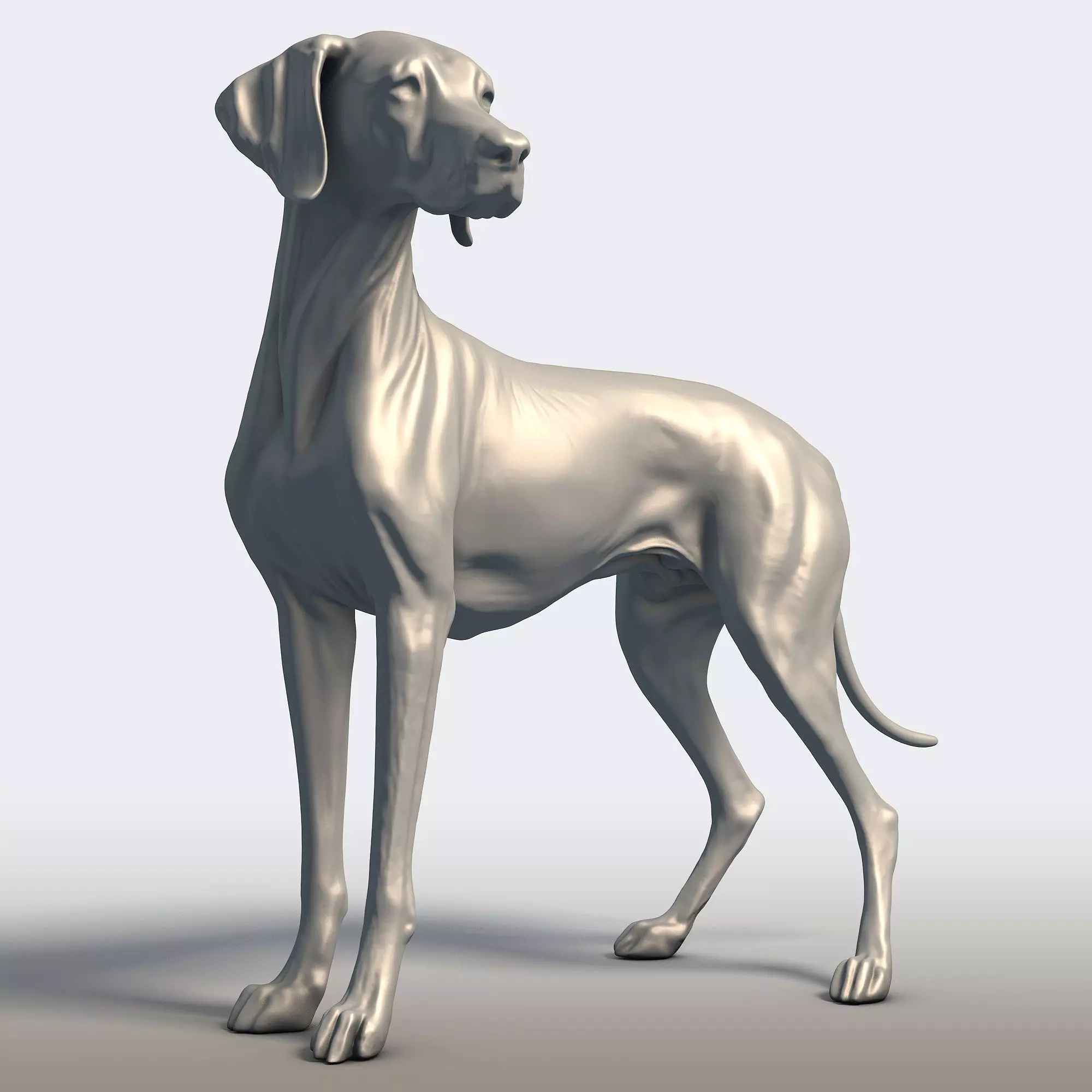 Vizsla Dog Statue Hungarian Pointer Breed Model  3D print model_0